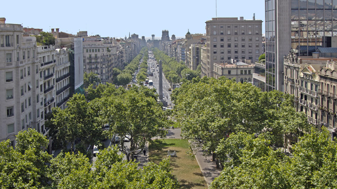 Shopping